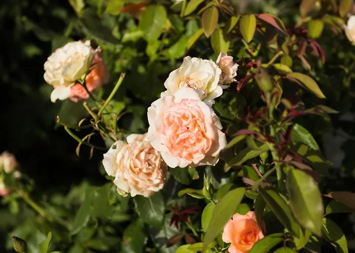 Apartman Makris House Ajía Effimía